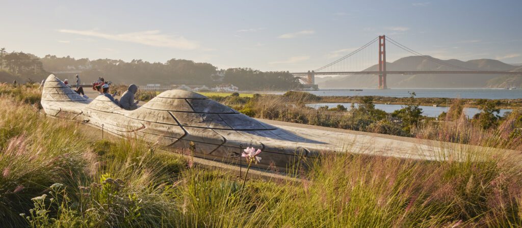 Presidio Tunnel Tops | Caitlin Atkinson